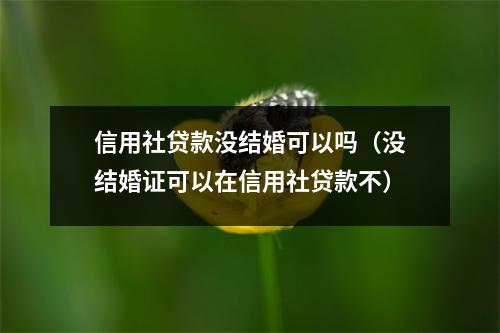 信用社贷款没结婚可以吗（没结婚证可以在信用社贷款不）
