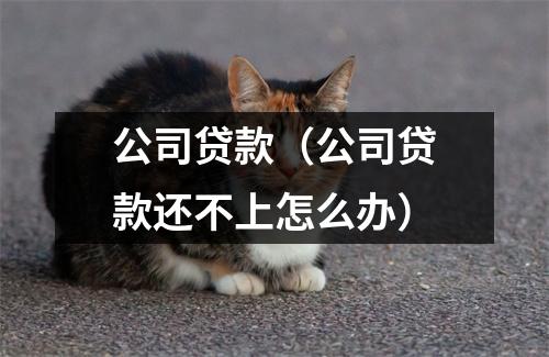 公司贷款(公司贷款还不上怎么办)