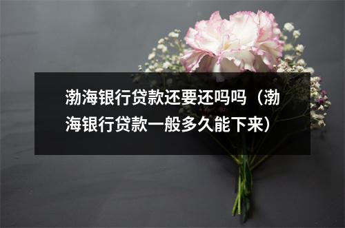 渤海银行贷款还要还吗吗（渤海银行贷款一般多久能下来）