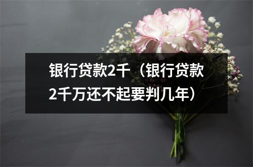 银行贷款2千（银行贷款2千万还不起要判几年）
