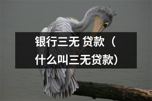银行三无 贷款（什么叫三无贷款）