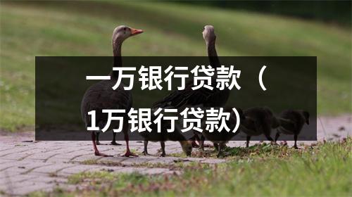一万银行贷款（1万银行贷款）