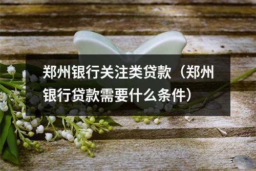 郑州银行关注类贷款(郑州银行贷款需要什么条件)