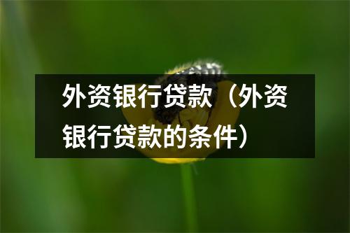 外资银行贷款(外资银行贷款的条件)