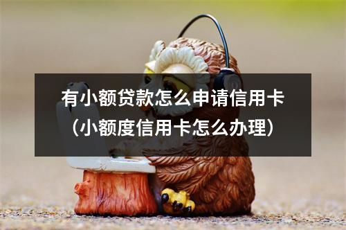 有小额贷款怎么申请信用卡（小额度信用卡怎么办理）