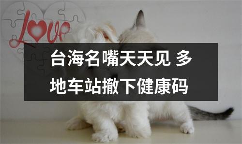 台海名嘴天天见 多地车站撤下健康码