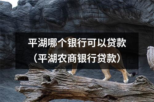 平湖哪个银行可以贷款（平湖农商银行贷款）