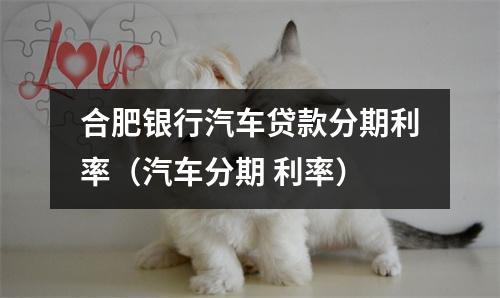 合肥银行汽车贷款分期利率（汽车分期 利率）