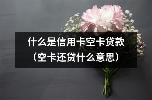 什么是信用卡空卡贷款（空卡还贷什么意思）