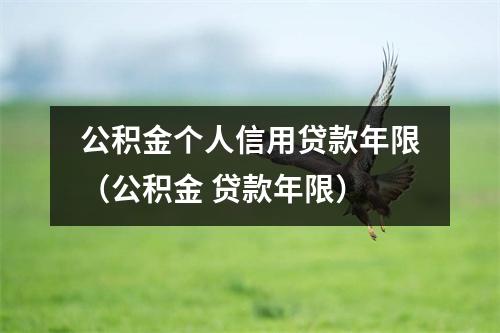 公积金个人信用贷款年限（公积金 贷款年限）