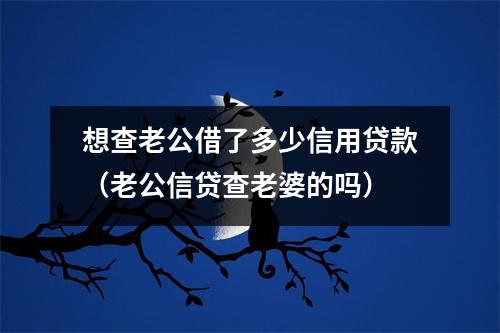想查老公借了多少信用贷款（老公信贷查老婆的吗）