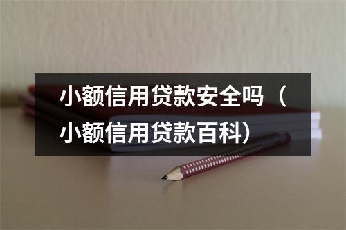小额信用贷款安全吗（小额信用贷款百科）