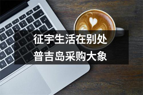 征宇生活在别处 普吉岛采购大象