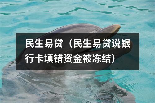 民生易贷(民生易贷说银行卡填错资金被冻结)