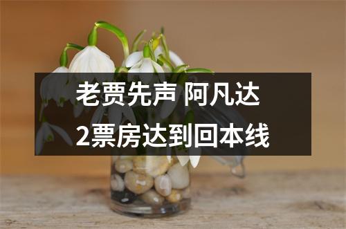 老贾先声 阿凡达2票房达到回本线
