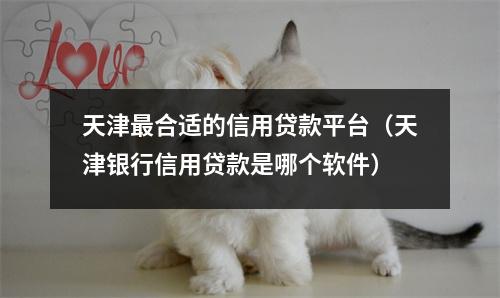 天津最合适的信用贷款平台（天津银行信用贷款是哪个软件）