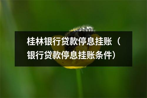 桂林银行贷款停息挂账（银行贷款停息挂账条件）