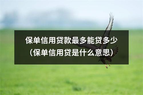 保单信用贷款最多能贷多少(保单信用贷是什么意思)