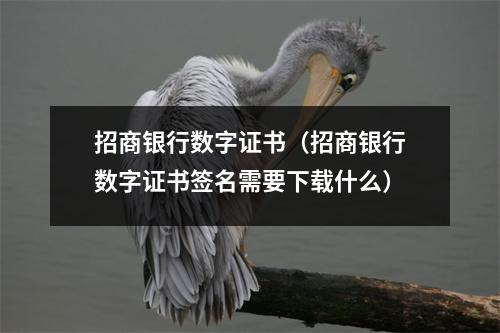 招商银行数字证书（招商银行数字证书签名需要下载什么）