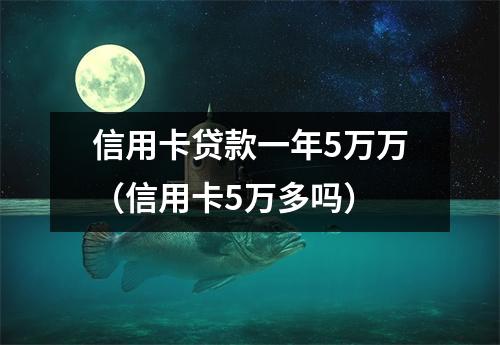 信用卡贷款一年5万万（信用卡5万多吗）
