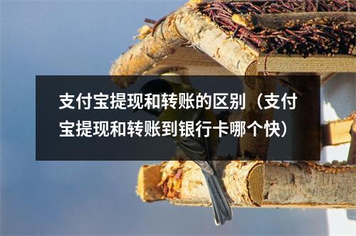 支付宝提现和转账的区别(支付宝提现和转账到银行卡哪个快)