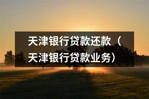 天津银行贷款还款（天津银行贷款业务）