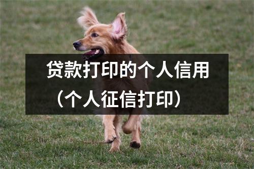 贷款打印的个人信用（个人征信打印）