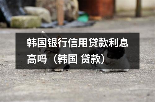 韩国银行信用贷款利息高吗（韩国 贷款）