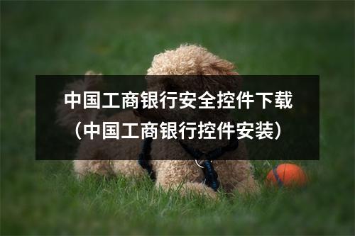 中国工商银行安全控件下载(中国工商银行控件安装)