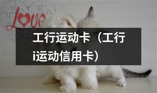 工行运动卡（工行i运动信用卡）