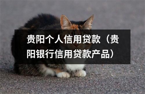 贵阳个人信用贷款（贵阳银行信用贷款产品）