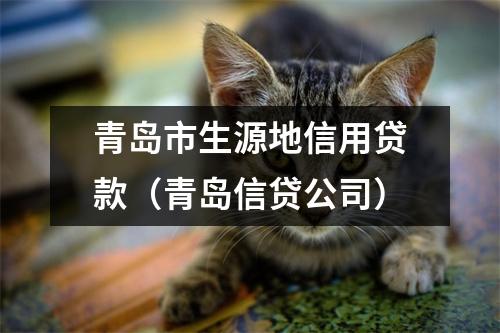 青岛市生源地信用贷款（青岛信贷公司）