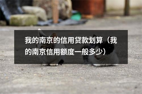 我的南京的信用贷款划算（我的南京信用额度一般多少）