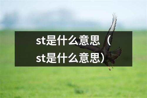 st是什么意思（st是什么意思）