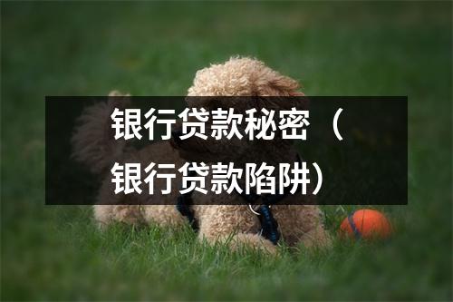 银行贷款秘密（银行贷款陷阱）