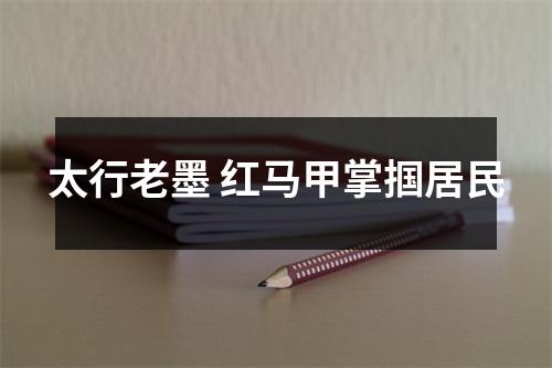 太行老墨 红马甲掌掴居民