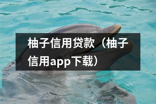 柚子信用贷款(柚子信用app下载)