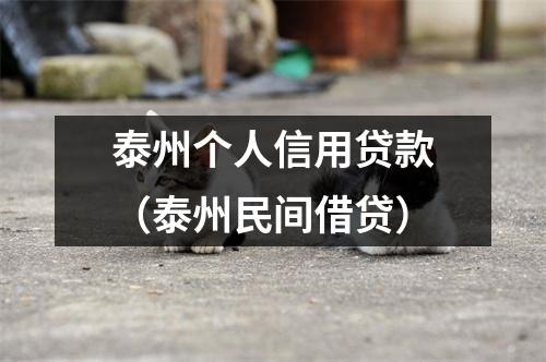泰州个人信用贷款（泰州民间借贷）