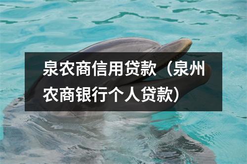 泉农商信用贷款（泉州农商银行个人贷款）