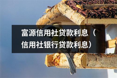 富源信用社贷款利息（信用社银行贷款利息）