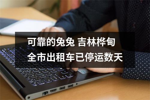 可靠的兔兔 吉林桦甸全市出租车已停运数天