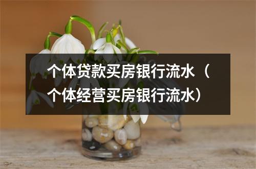 个体贷款买房银行流水（个体经营买房银行流水）