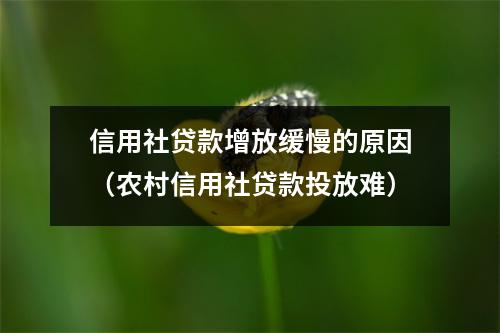 信用社贷款增放缓慢的原因（农村信用社贷款投放难）