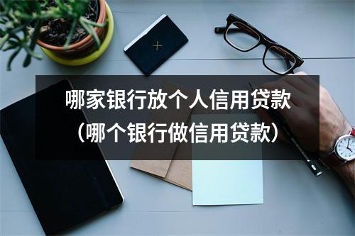 哪家银行放个人信用贷款（哪个银行做信用贷款）