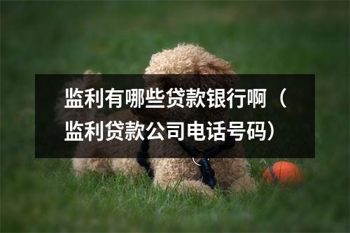 监利有哪些贷款银行啊（监利贷款公司电话号码）