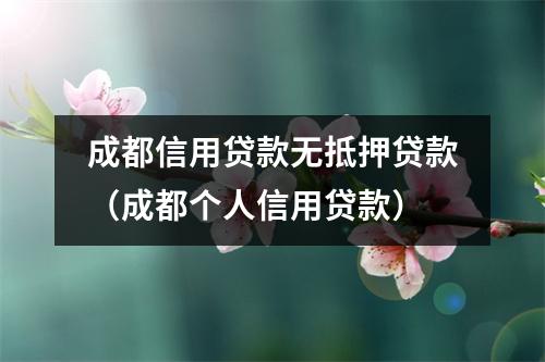 成都信用贷款无抵押贷款（成都个人信用贷款）