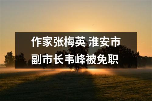 作家张梅英 淮安市副市长韦峰被免职