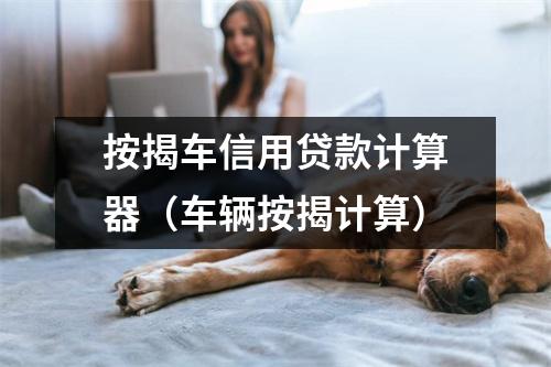 按揭车信用贷款计算器（车辆按揭计算）