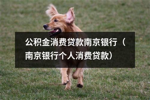 公积金消费贷款南京银行（南京银行个人消费贷款）