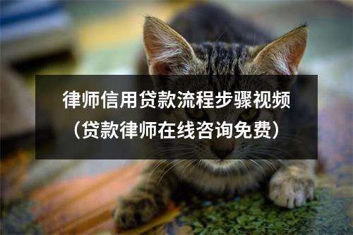 律师信用贷款流程步骤视频（贷款律师在线咨询免费）